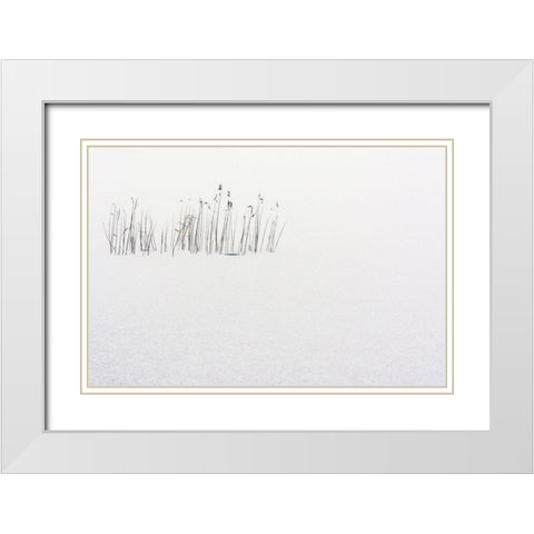 Frozen life White Modern Wood Framed Art Print with Double Matting by Scappazzoni