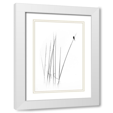 A Sabbatical White Modern Wood Framed Art Print with Double Matting by Swapnil
