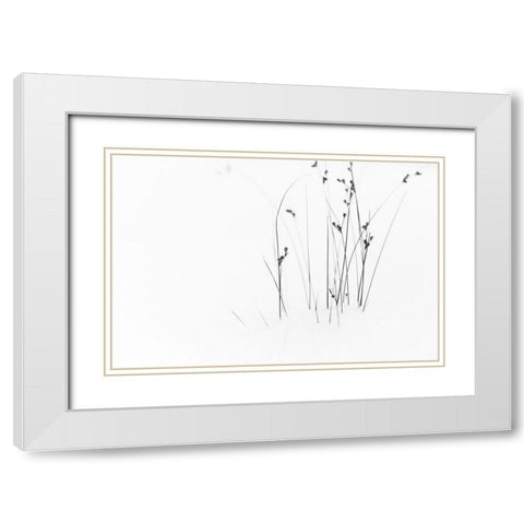 Black on White White Modern Wood Framed Art Print with Double Matting by Ljubicic