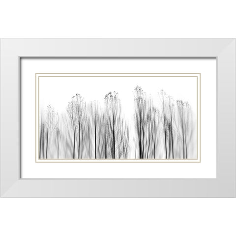 No Grounds White Modern Wood Framed Art Print with Double Matting by Abrantes