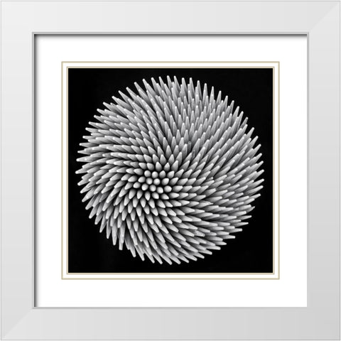 Hypnosis White Modern Wood Framed Art Print with Double Matting by Toniolo