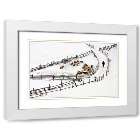 Protected Area White Modern Wood Framed Art Print with Double Matting by Harag