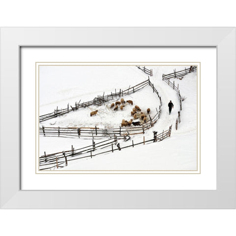 Protected Area White Modern Wood Framed Art Print with Double Matting by Harag