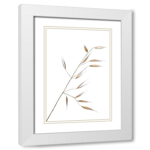 Lagandre- Subtle Delicateness  White Modern Wood Framed Art Print with Double Matting by 1x