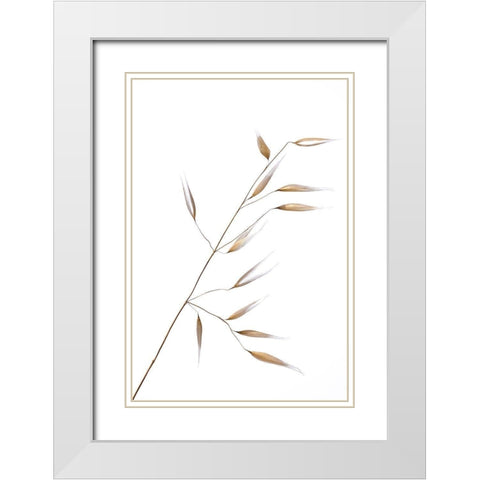 Lagandre- Subtle Delicateness  White Modern Wood Framed Art Print with Double Matting by 1x