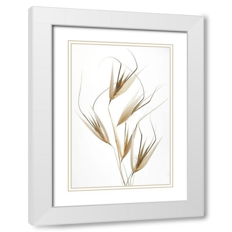 Lagandre- Delicacy of Nature White Modern Wood Framed Art Print with Double Matting by 1x