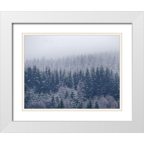 Frozen Trees White Modern Wood Framed Art Print with Double Matting by ChristensenÂ 
