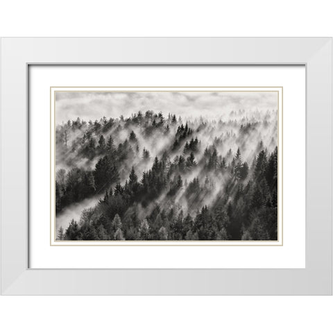 Sundance Evening White Modern Wood Framed Art Print with Double Matting by Baloh