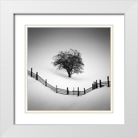 Trapped White Modern Wood Framed Art Print with Double Matting by Rak