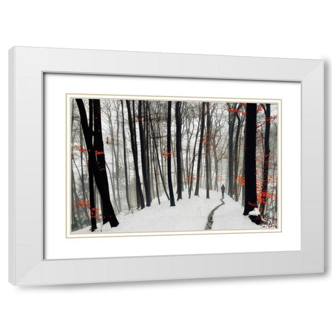 Through autumn and winter White Modern Wood Framed Art Print with Double Matting by Krivec