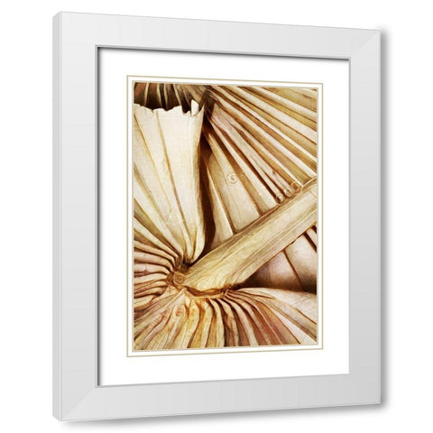 Natural Dried Palms I  White Modern Wood Framed Art Print with Double Matting by Aldridge, Ashley