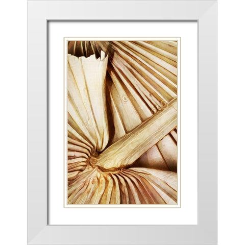 Natural Dried Palms I  White Modern Wood Framed Art Print with Double Matting by Aldridge, Ashley