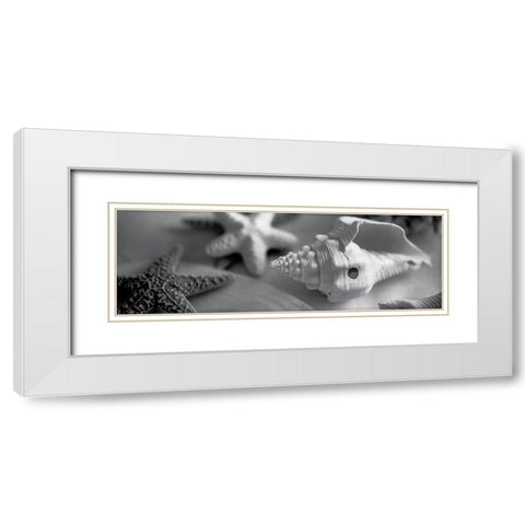 Coastal Collection II White Modern Wood Framed Art Print with Double Matting by YK Studios