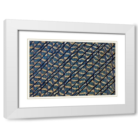 Guilding White Modern Wood Framed Art Print with Double Matting by Zimbalist, David