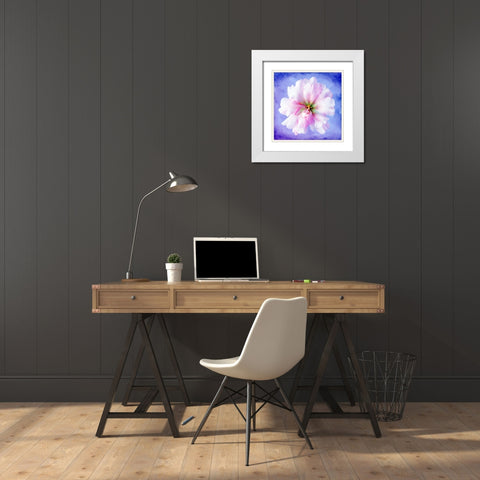 Daisy Soft Pink on Blue White Modern Wood Framed Art Print with Double Matting by Zalewski, Christine