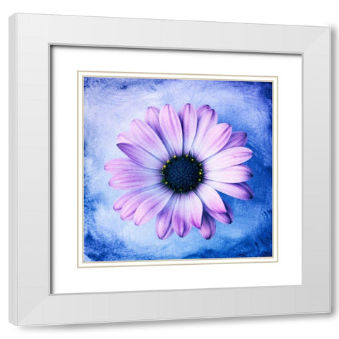 Daisy Soft Purple on Blue White Modern Wood Framed Art Print with Double Matting by Zalewski, Christine