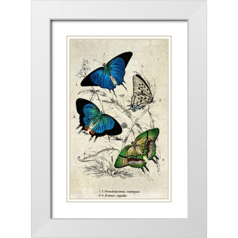 Kirby Butterflies I White Modern Wood Framed Art Print with Double Matting by Zalewski, Christine
