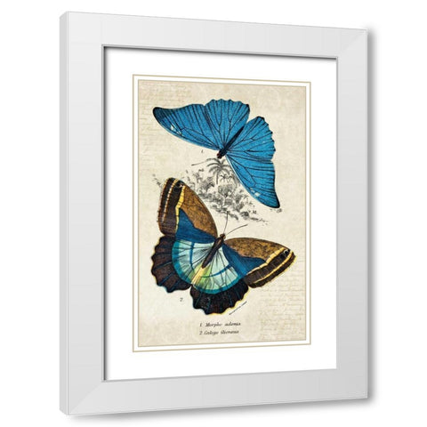 Kirby Butterflies II White Modern Wood Framed Art Print with Double Matting by Zalewski, Christine