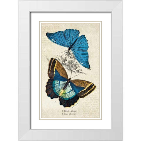 Kirby Butterflies II White Modern Wood Framed Art Print with Double Matting by Zalewski, Christine