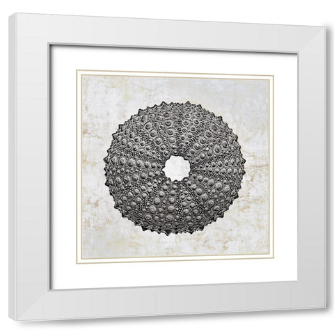 Aquatic Resources II White Modern Wood Framed Art Print with Double Matting by Zalewski, Christine