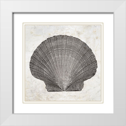 Aquatic Resources III White Modern Wood Framed Art Print with Double Matting by Zalewski, Christine