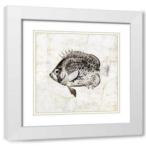 Vintage Fish IV White Modern Wood Framed Art Print with Double Matting by Zalewski, Christine