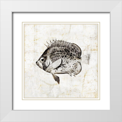 Vintage Fish IV White Modern Wood Framed Art Print with Double Matting by Zalewski, Christine