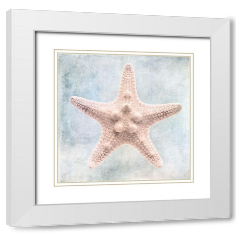Blue Cream Starfish  White Modern Wood Framed Art Print with Double Matting by Zalewski, Christine