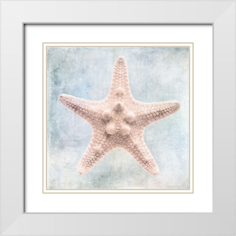 Blue Cream Starfish  White Modern Wood Framed Art Print with Double Matting by Zalewski, Christine