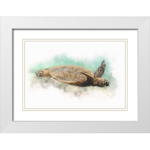 Hawaiian Green Sea Turtle Watercolor I White Modern Wood Framed Art Print with Double Matting by Zalewski, Christine