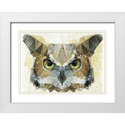 Abstract Owl White Modern Wood Framed Art Print with Double Matting by Ancello