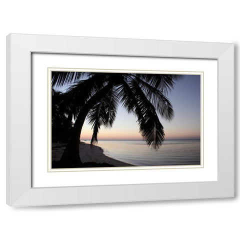Palm Tree Sunset White Modern Wood Framed Art Print with Double Matting by Anderson, Brent