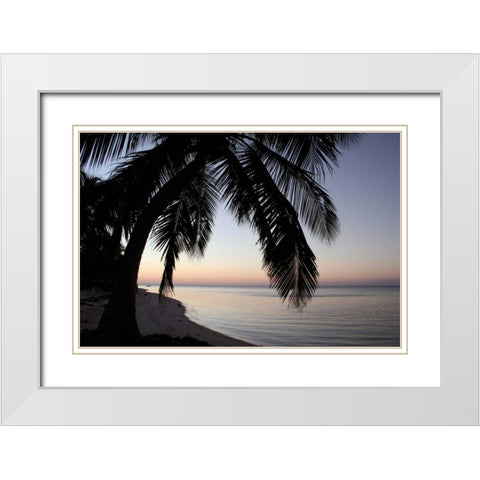 Palm Tree Sunset White Modern Wood Framed Art Print with Double Matting by Anderson, Brent