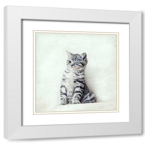 Cat Winks White Modern Wood Framed Art Print with Double Matting by Attura, Nadia