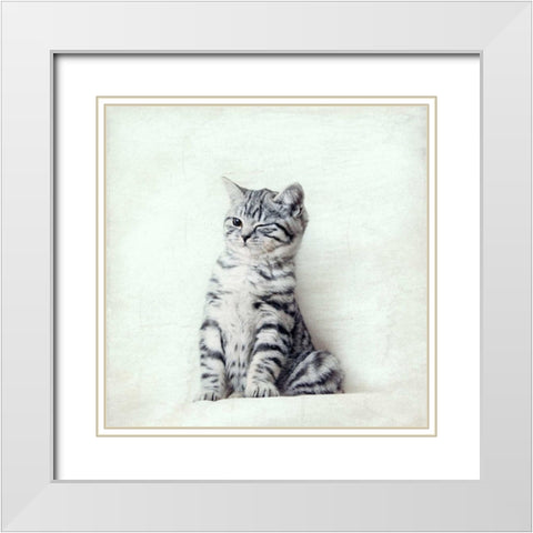 Cat Winks White Modern Wood Framed Art Print with Double Matting by Attura, Nadia