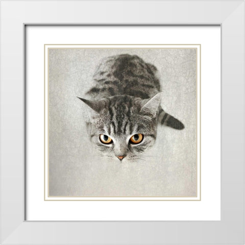 Hello Kitty White Modern Wood Framed Art Print with Double Matting by Attura, Nadia