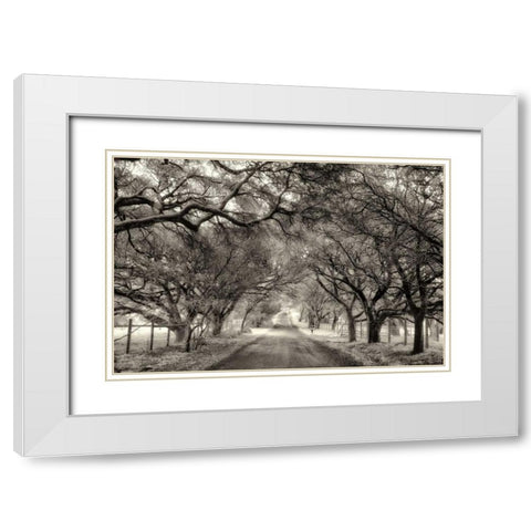Canopy White Modern Wood Framed Art Print with Double Matting by Aron, Lucy