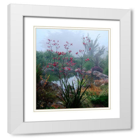 Scarlet White Modern Wood Framed Art Print with Double Matting by Aron, Lucy