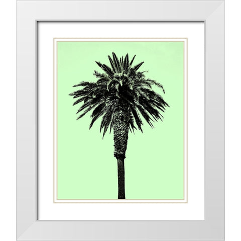 Palm Tree 1996 (Green) White Modern Wood Framed Art Print with Double Matting by Asla, Erik