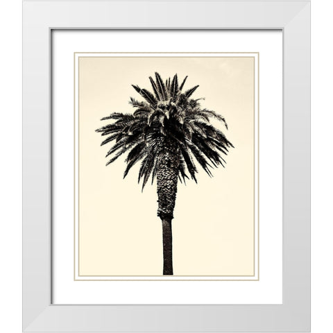 Palm Tree 1996 (Tan) White Modern Wood Framed Art Print with Double Matting by Asla, Erik