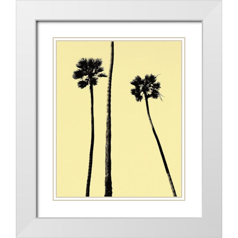 Palm Trees 2000 (Yellow) White Modern Wood Framed Art Print with Double Matting by Asla, Erik