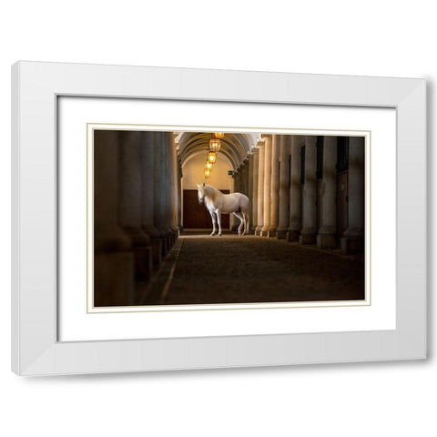 In The Barn White Modern Wood Framed Art Print with Double Matting by Asimow, Merrie