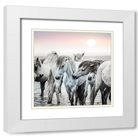 Little Nip White Modern Wood Framed Art Print with Double Matting by Asimow, Merrie