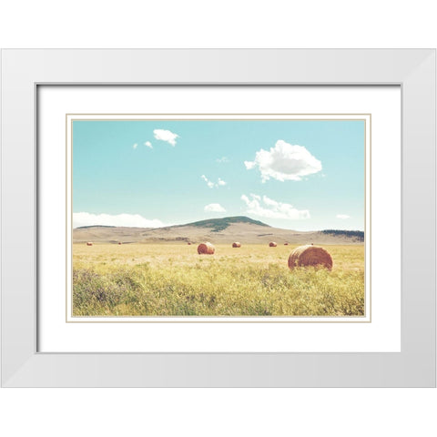 A Day in the Fields White Modern Wood Framed Art Print with Double Matting by Annie Bailey Art
