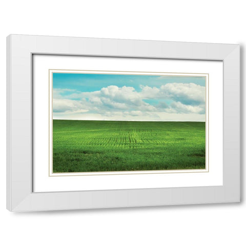 Signs of Life White Modern Wood Framed Art Print with Double Matting by Annie Bailey Art