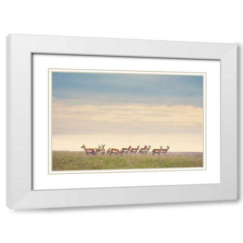 Strength in Numbers White Modern Wood Framed Art Print with Double Matting by Annie Bailey Art
