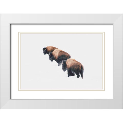 Yellowstone Trio White Modern Wood Framed Art Print with Double Matting by Annie Bailey Art