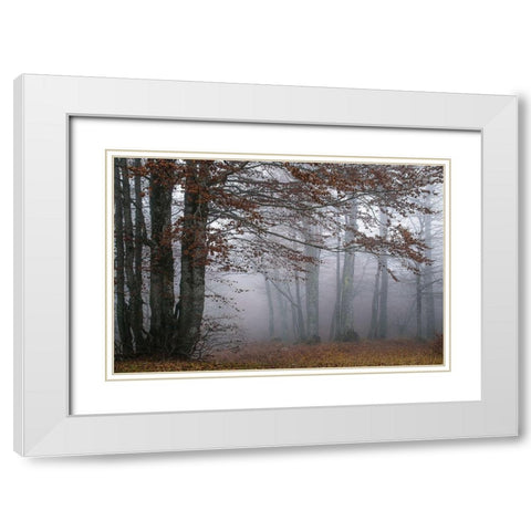 Autumn Paintings White Modern Wood Framed Art Print with Double Matting by Artemiadi, Dora