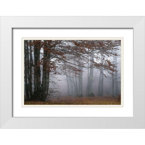 Autumn Paintings White Modern Wood Framed Art Print with Double Matting by Artemiadi, Dora