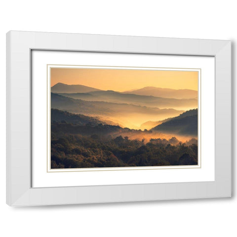Awakening White Modern Wood Framed Art Print with Double Matting by Artemiadi, Dora